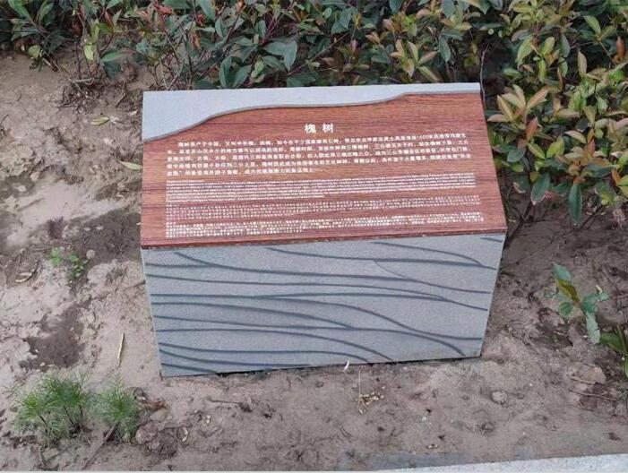 廣告標(biāo)識 
